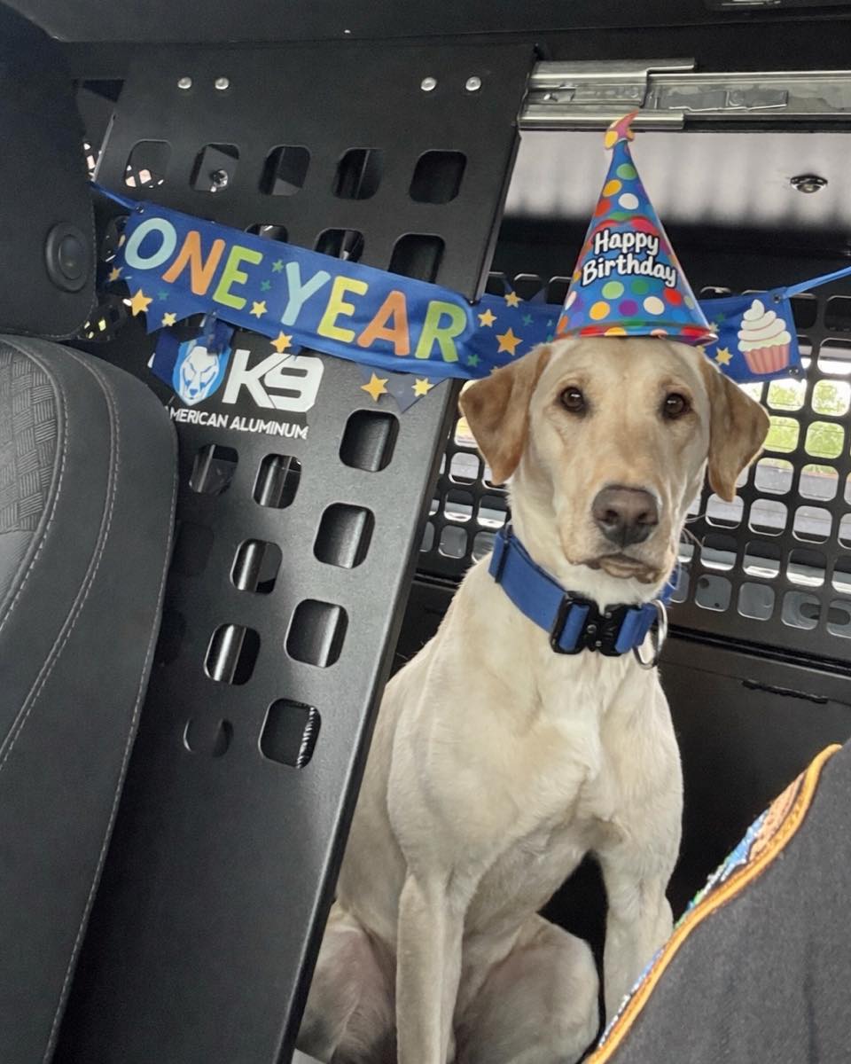 K-9 Officer Ghost turns ONE! - March 28, 2026